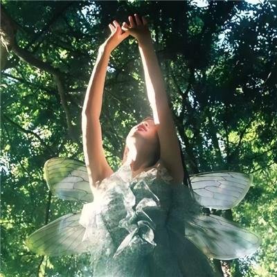 文化多元的云衡共生